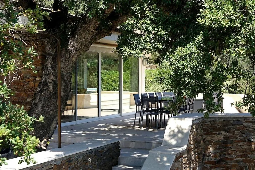 Villa Piscine Vue Sur Le Golfe De Saint-Tropez Grimaud